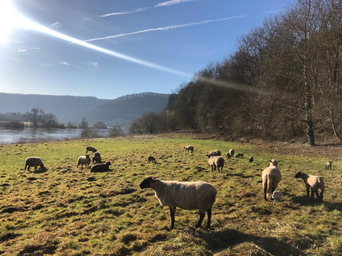 Camping Am Bootshaus Beverungen Exteriör bild